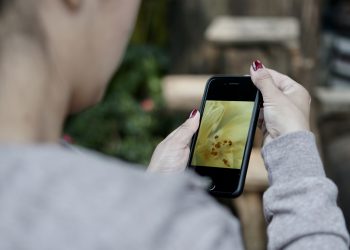 over-using mobile phone