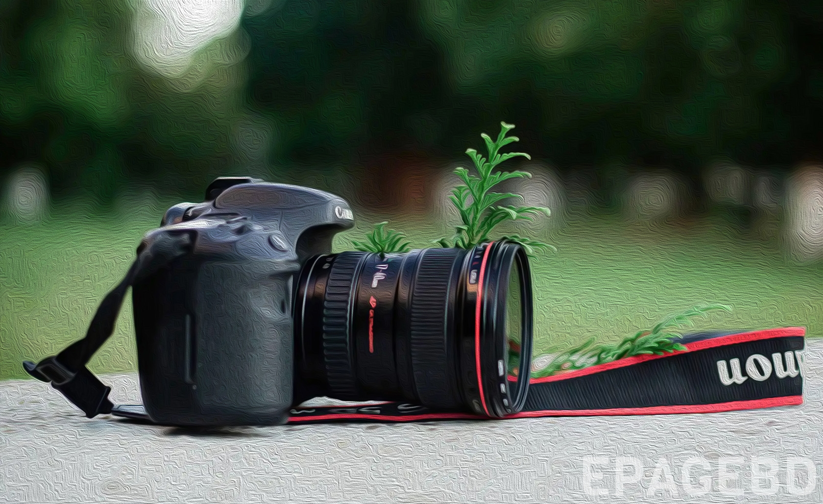 Here are 10 things to know when buying a DSLR camera EPAGEBD
